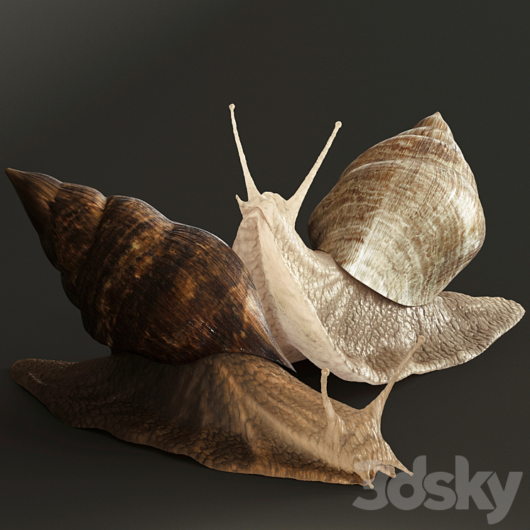 Snails 3DS Max - thumbnail 1