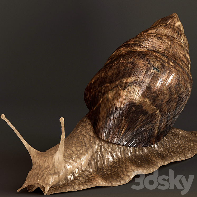 Snails 3DS Max - thumbnail 2