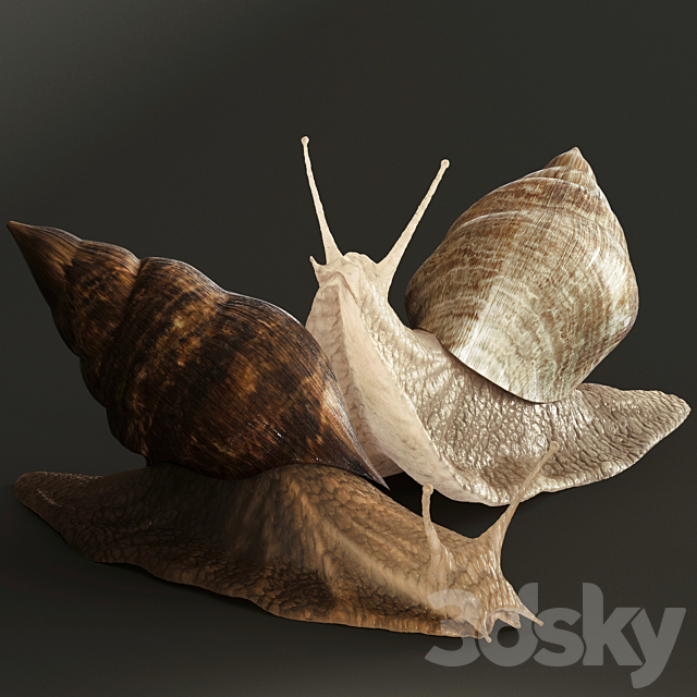 Snails 3DSMax File - thumbnail 1