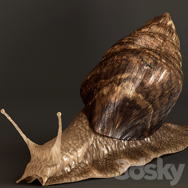 Snails 3DSMax File - thumbnail 2