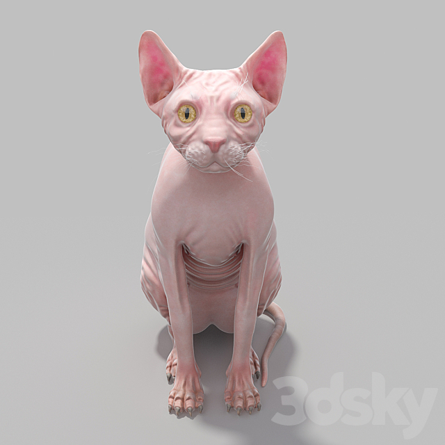 Sphynx Busko 3DSMax File - thumbnail 2