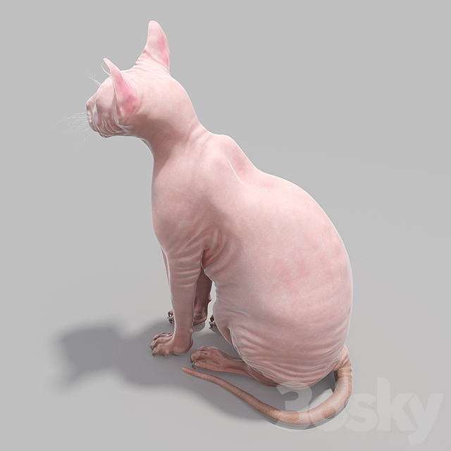 Sphynx Busko 3DSMax File - thumbnail 3