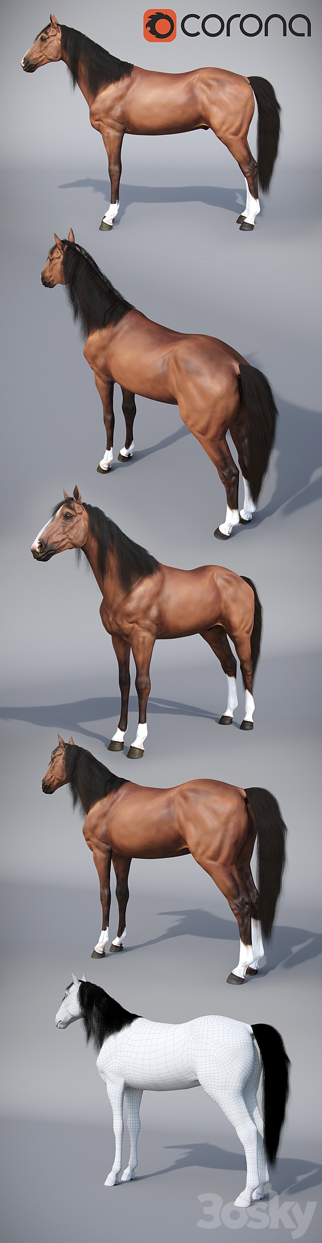 Standing horse 3DS Max Model - thumbnail 2