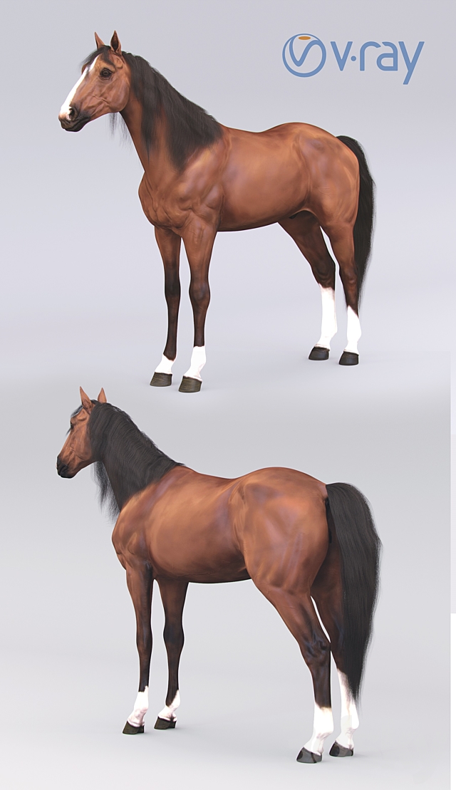 Standing horse 3DS Max Model - thumbnail 3