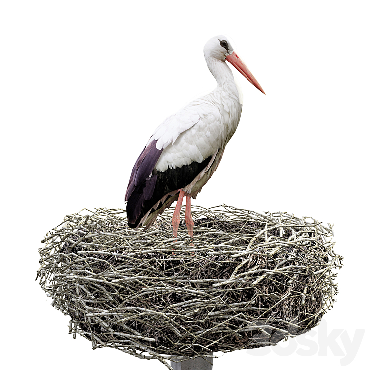 Stork 3DS Max Model - thumbnail 1