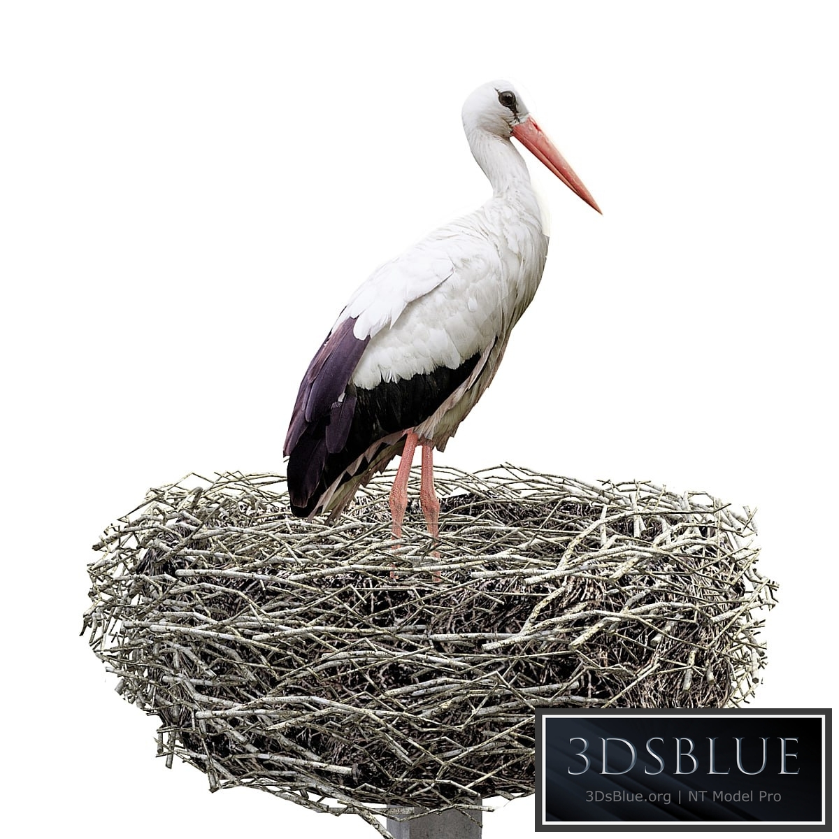 Stork 3DS Max - thumbnail 3