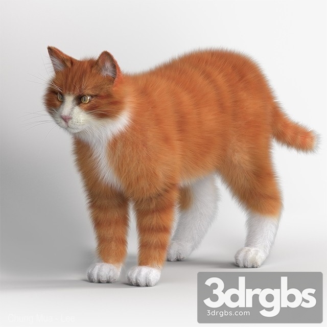 Tabby Cat 3dsmax Download - thumbnail 1