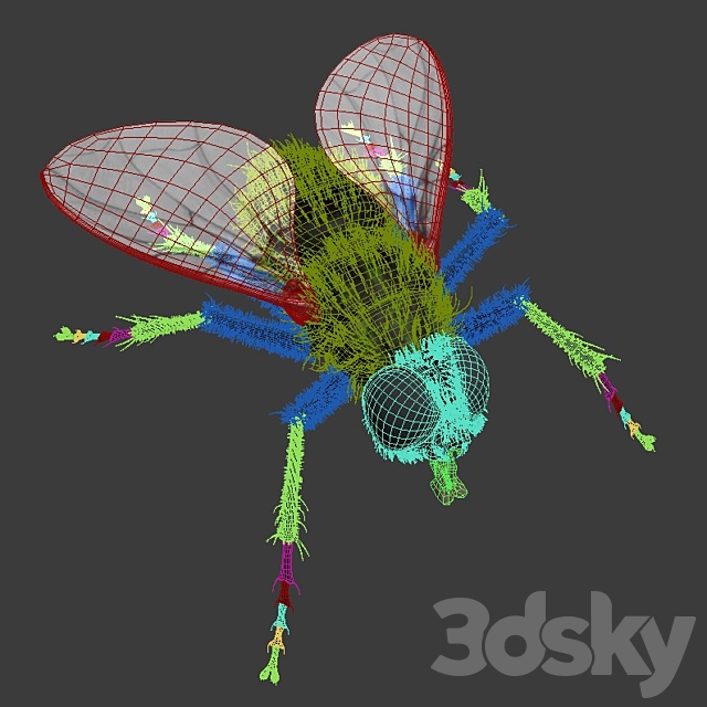 The Fly 3ds Max - thumbnail 3