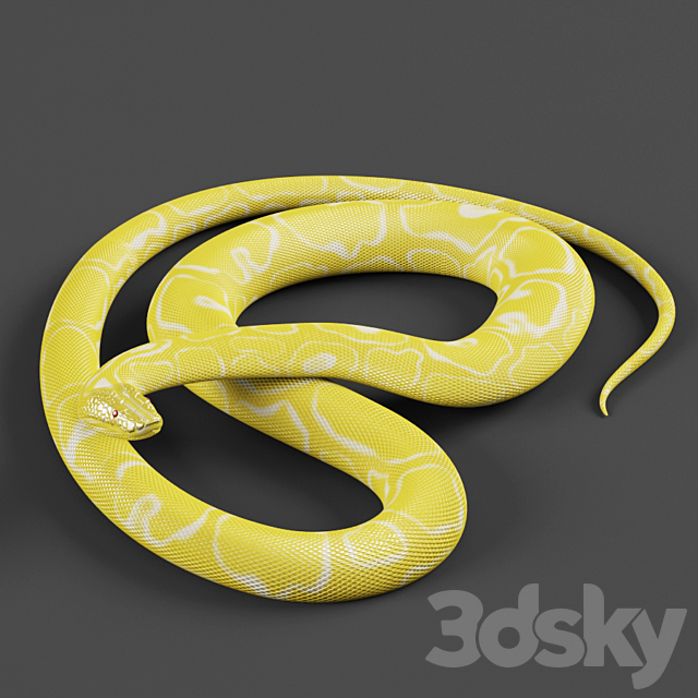 Tiger python 3ds Max - thumbnail 1