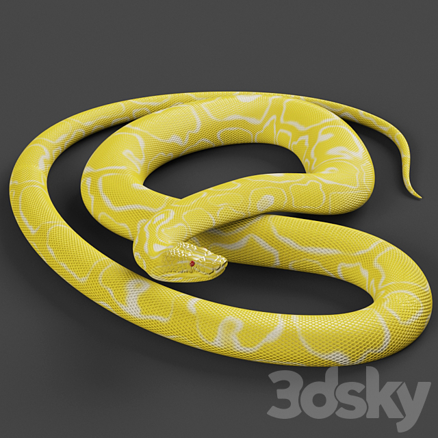 Tiger python 3ds Max - thumbnail 2