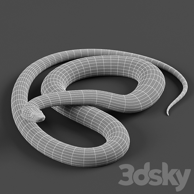 Tiger python 3ds Max - thumbnail 3