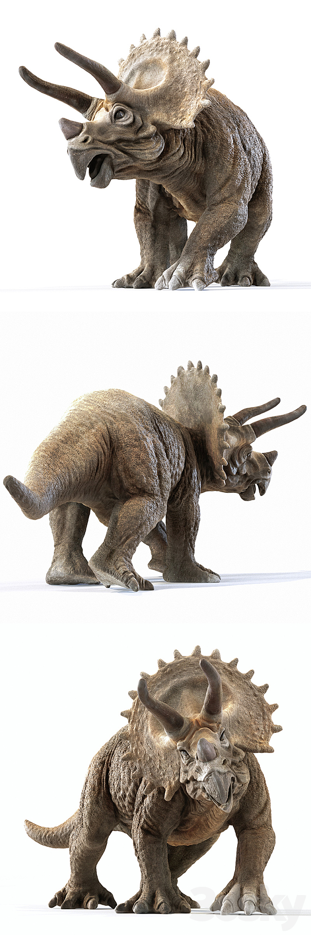 triceratops 3DS Max Model - thumbnail 2