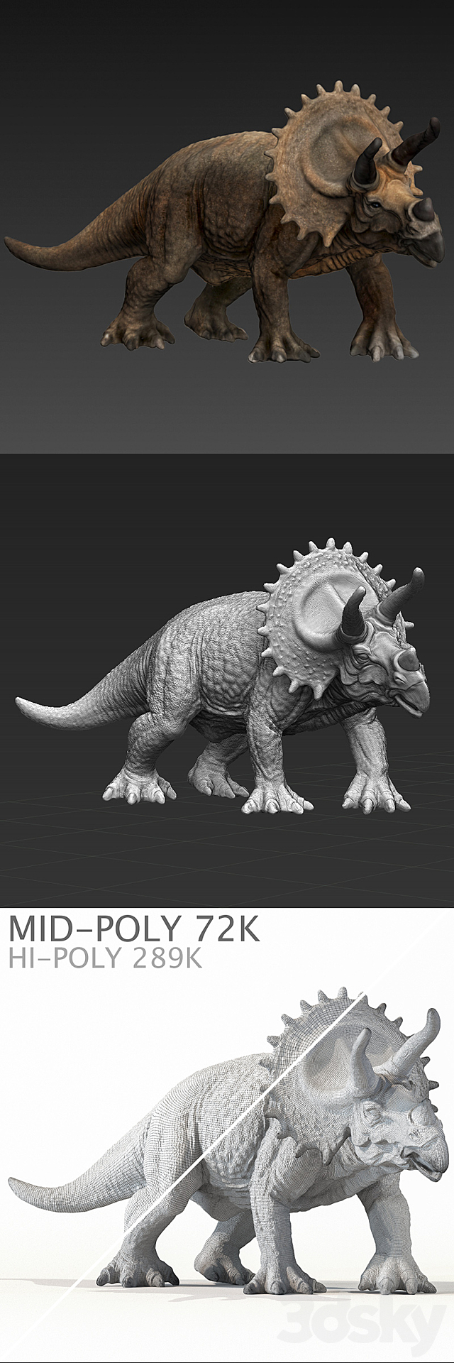 triceratops 3DS Max Model - thumbnail 3