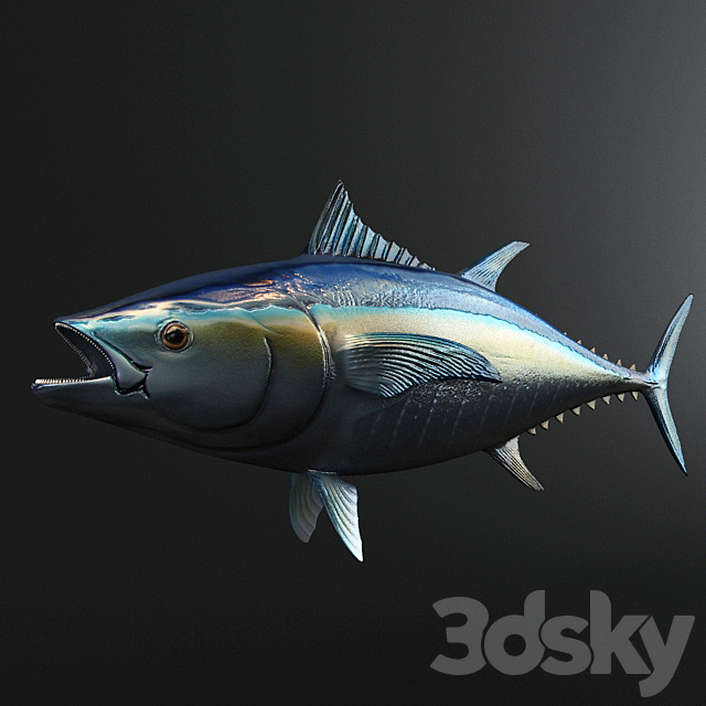 Tuna Fish 3ds Max - thumbnail 1