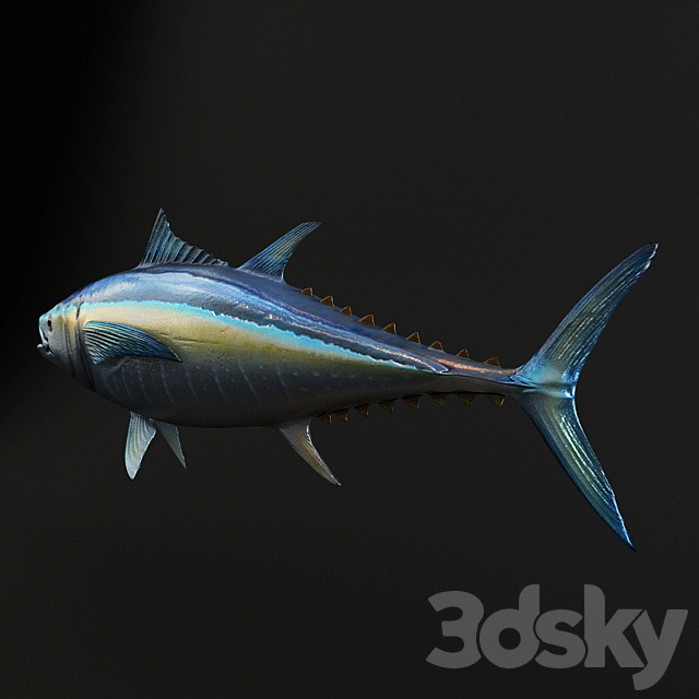 Tuna Fish 3ds Max - thumbnail 2