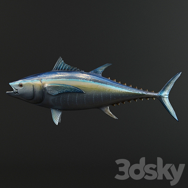 Tuna Fish 3ds Max - thumbnail 3