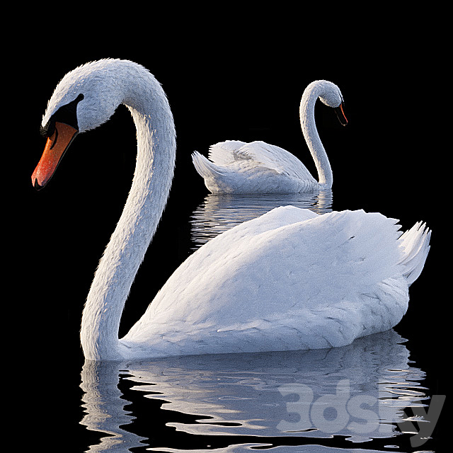 White Swan 3DSMax File - thumbnail 1