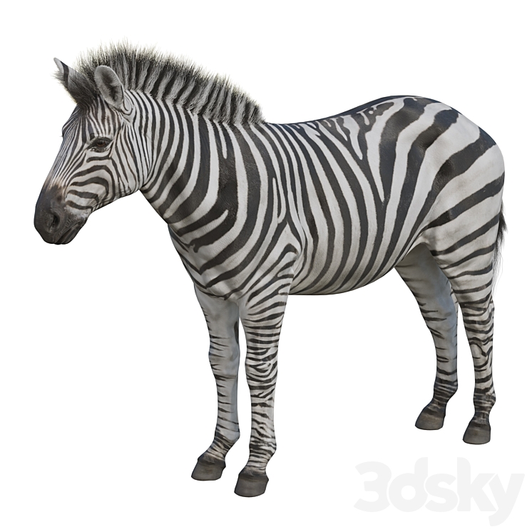 Zebra 3DS Max - thumbnail 1