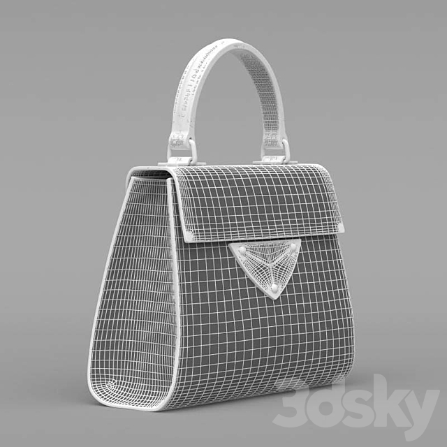 Coccinelle Bag 3DSMax File - thumbnail 4