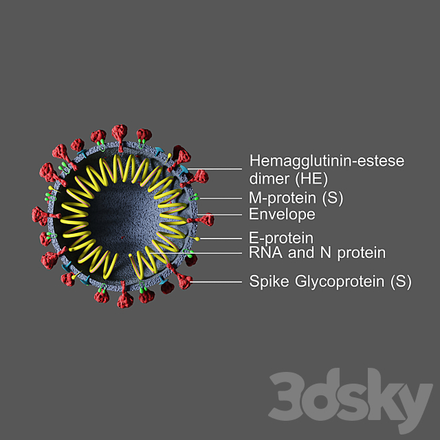 Covid-19 _ Coronavirus 3DS Max Model - thumbnail 2