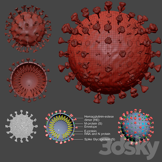 Covid-19 _ Coronavirus 3DS Max Model - thumbnail 5