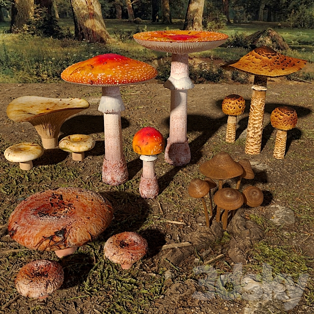 Mushrooms. Set1 3DS Max Model - thumbnail 2