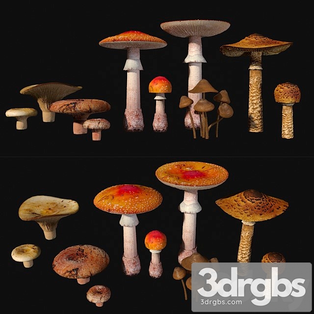 Mushrooms. set1 3dsmax Download - thumbnail 1