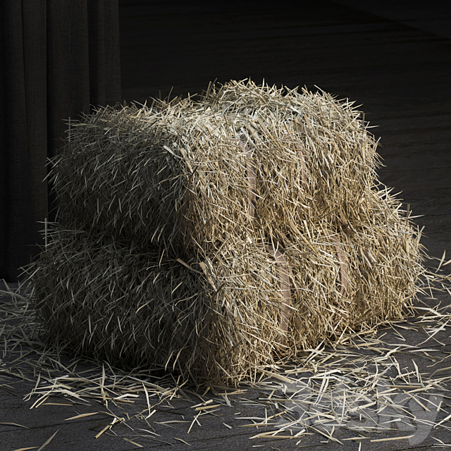 Straw bale (GEOMETRY + SCATTER) 3DS Max Model - thumbnail 2