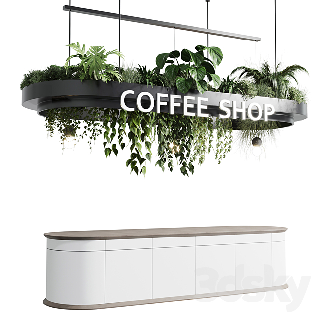 Coffee shop reception. Restaurant counter by hanging plant – 01 3DSMax File - thumbnail 1