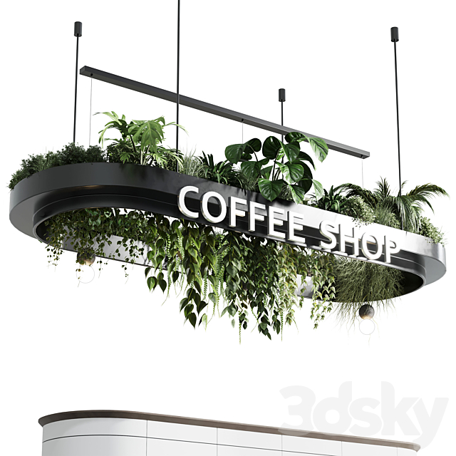 Coffee shop reception. Restaurant counter by hanging plant – 01 3DSMax File - thumbnail 2