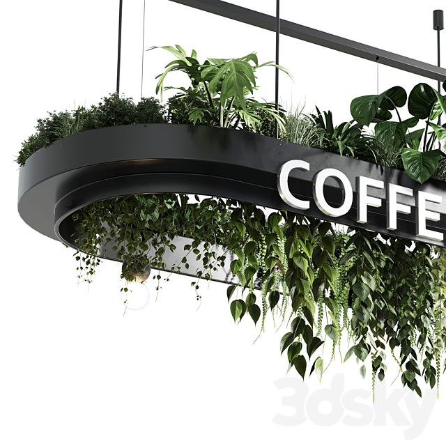 Coffee shop reception. Restaurant counter by hanging plant – 01 3DSMax File - thumbnail 3