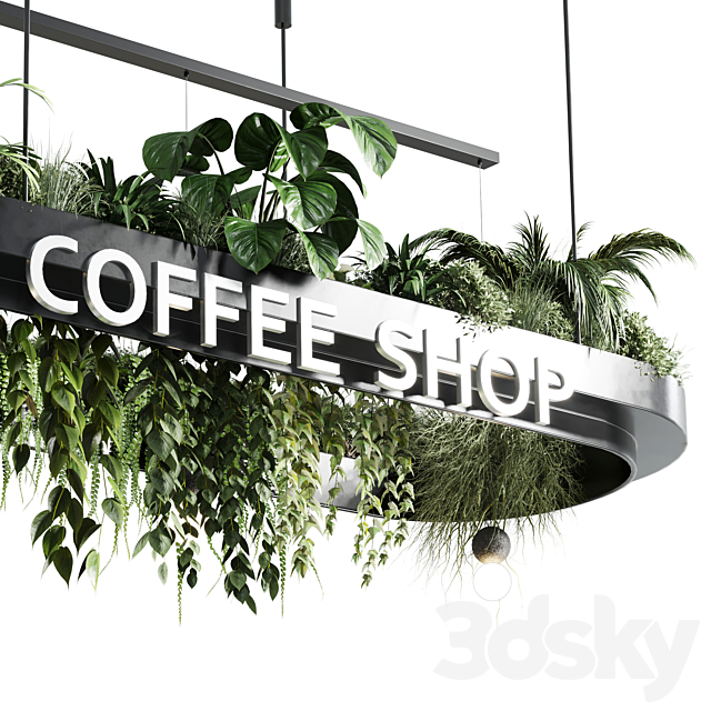 Coffee shop reception. Restaurant counter by hanging plant – 01 3DSMax File - thumbnail 4