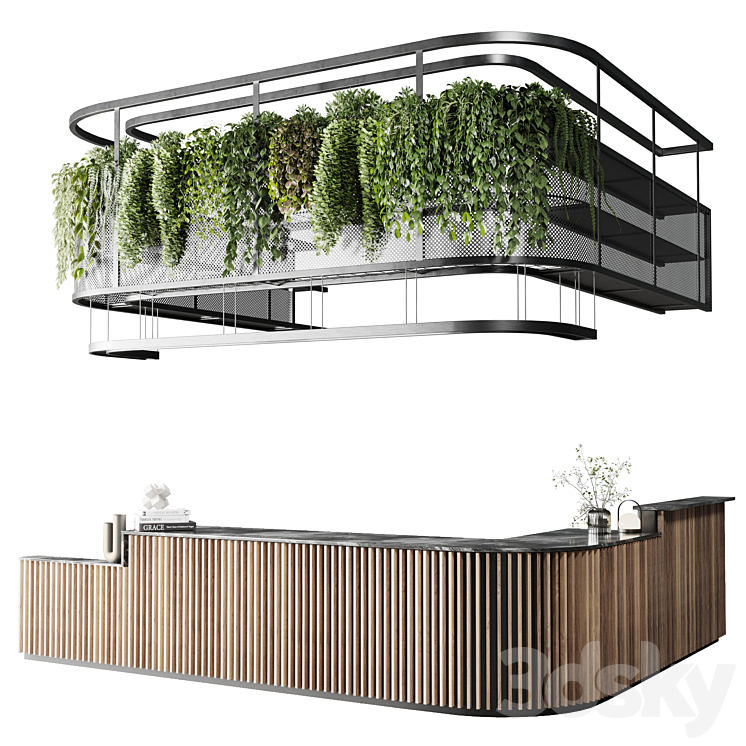 Coffee shop reception Restaurant counter by hanging plant – 03 3DS Max Model - thumbnail 1