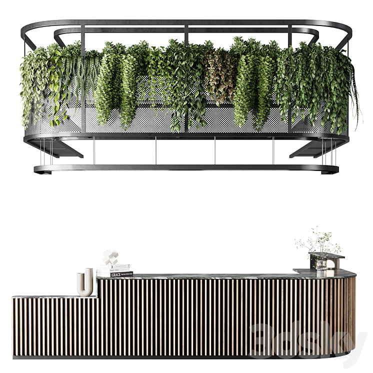 Coffee shop reception Restaurant counter by hanging plant – 03 3DS Max Model - thumbnail 2