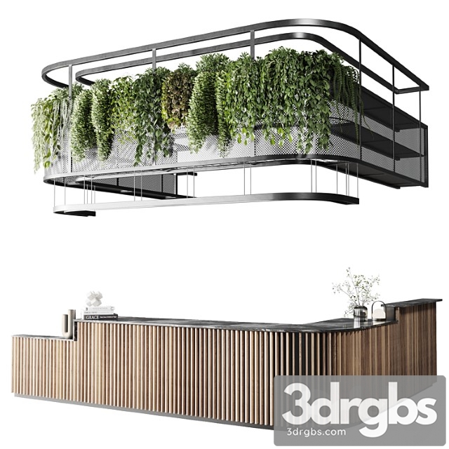 Coffee Shop Reception Restaurant Counter by Hanging Plant 03 3dsmax Download - thumbnail 1