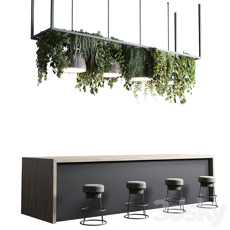 Coffee shop reception Restaurant counter by hanging plant – 04 3DS Max Model - thumbnail 1