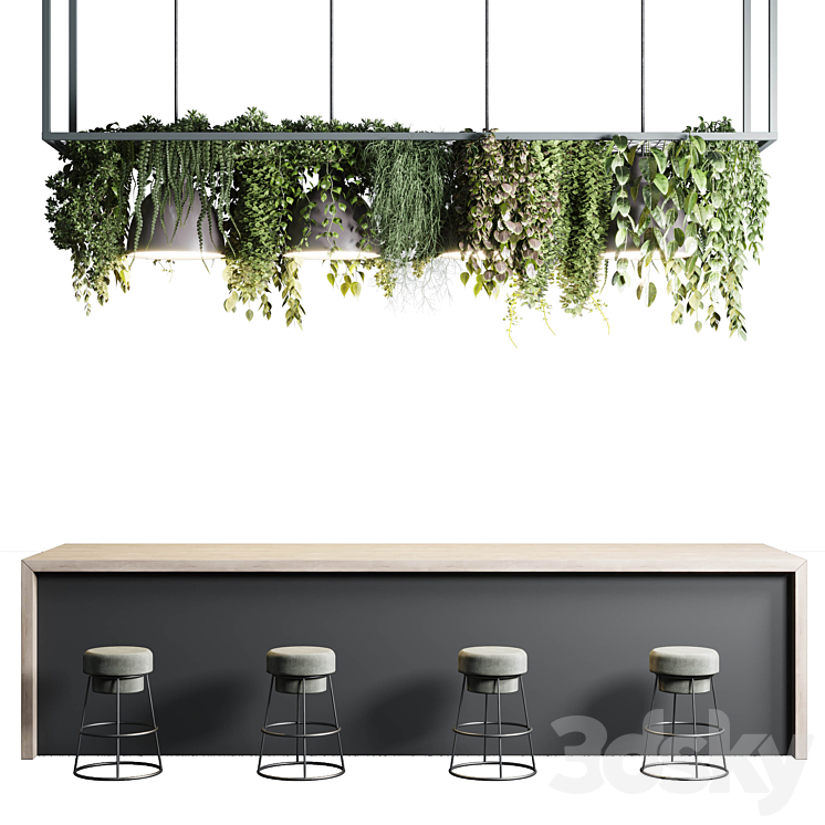 Coffee shop reception Restaurant counter by hanging plant – 04 3DS Max Model - thumbnail 2