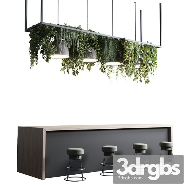 Coffee Shop Reception Restaurant Counter by Hanging Plant 04 3dsmax Download - thumbnail 1