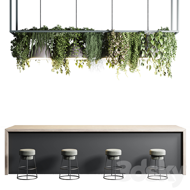 Coffee shop reception. Restaurant counter by hanging plant – 04 3DSMax File - thumbnail 2