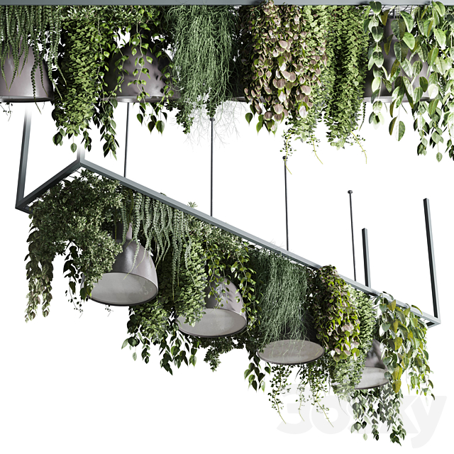 Coffee shop reception. Restaurant counter by hanging plant – 04 3DSMax File - thumbnail 3