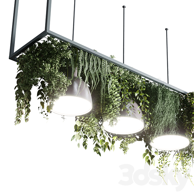 Coffee shop reception. Restaurant counter by hanging plant – 04 3DSMax File - thumbnail 4