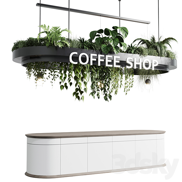 Coffee shop reception. Restaurant counter by  hanging plant – corona 01 3DSMax File - thumbnail 1