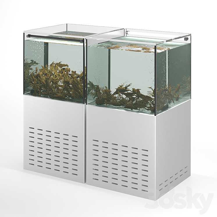 Crayfish aquarium 3DS Max - thumbnail 1