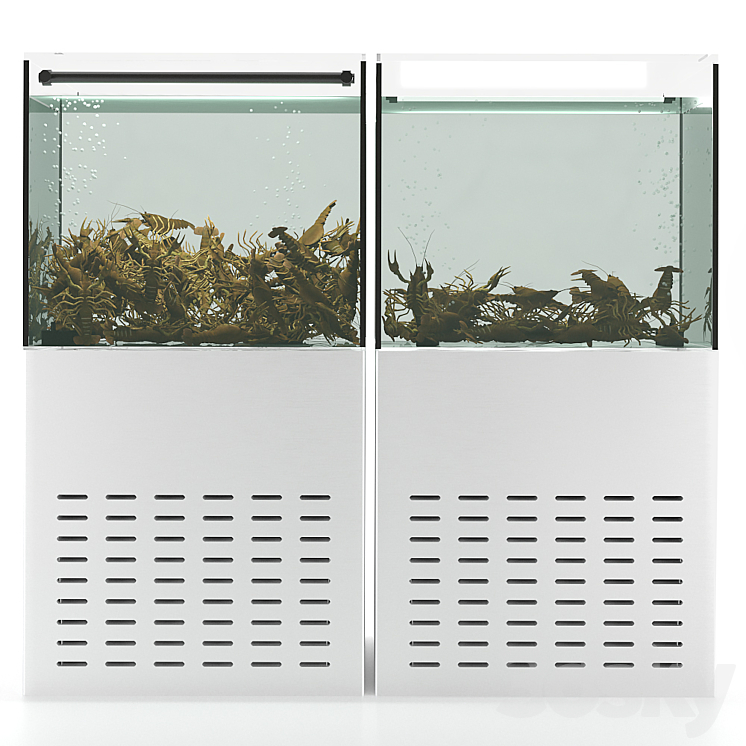 Crayfish aquarium 3DS Max - thumbnail 2