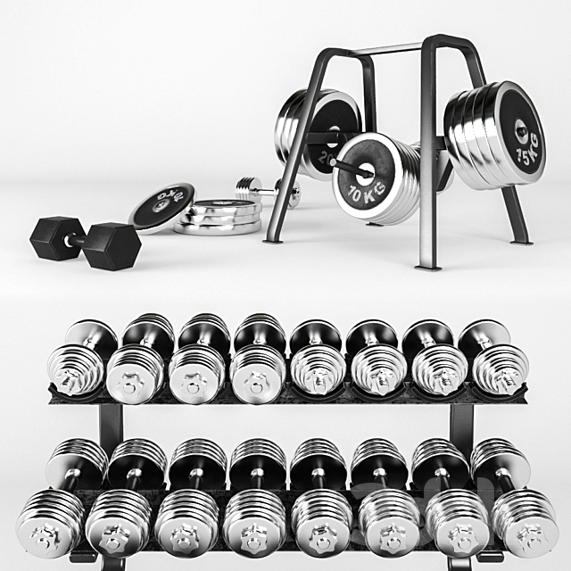 A set of sports dumbbells and pancakes on the racks. 3DS Max Model - thumbnail 2