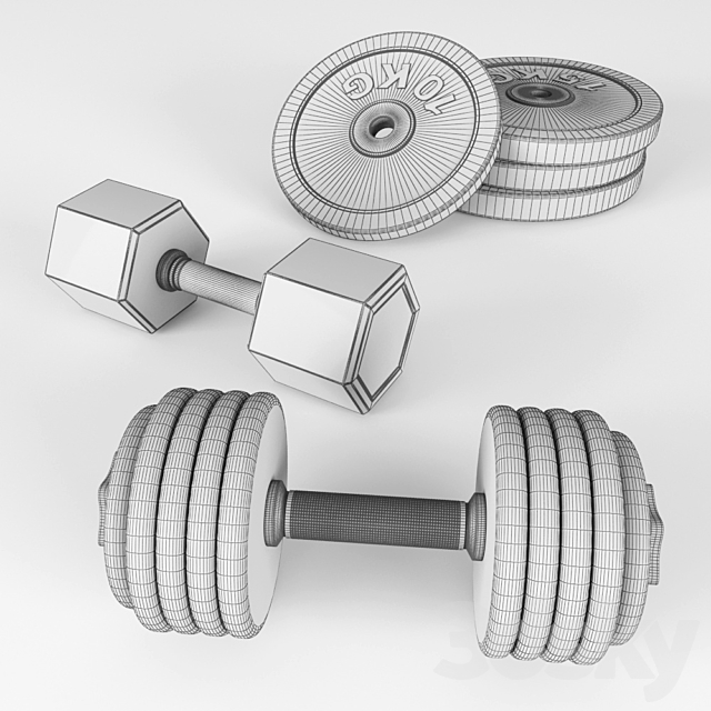 A set of sports dumbbells and pancakes on the racks. 3DS Max Model - thumbnail 3