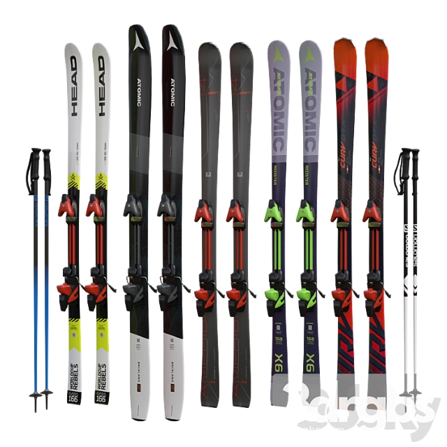 Alpine skiing and sticks 3dsmax Download - thumbnail 1