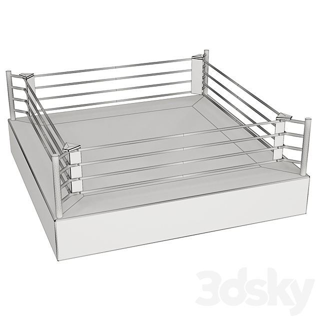 Boxing ring 3DS Max Model - thumbnail 5