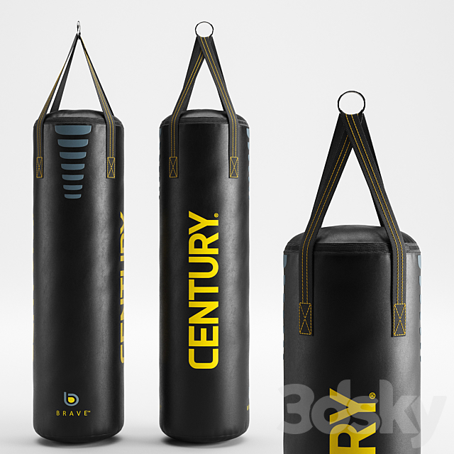 CENTURY Brave hanging Boxing bag 3DSMax File - thumbnail 1