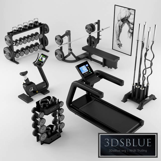 Equipment Gym 2 3DS Max - thumbnail 3